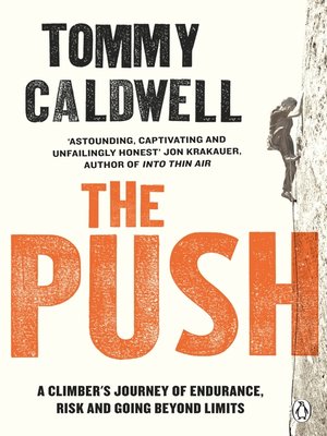 The Push - ebook